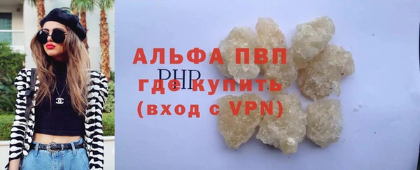 стаф Касимов