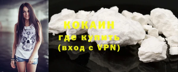стаф Касимов