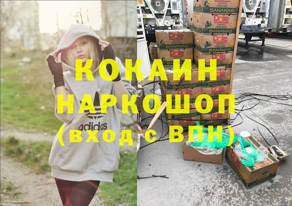 стаф Касимов
