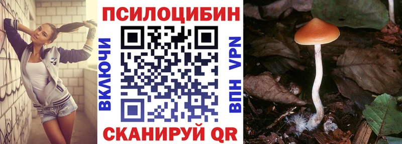 Псилоцибиновые грибы MAGIC MUSHROOMS  Купить  Усть-Кут 